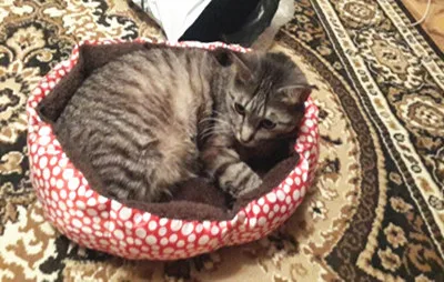 UTB8c88to5aMiuJk43PTq6ySmXXak