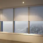 Hoe Sales Personalized Pvc Motorized Roller Shade Motor Wifi