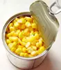 Top manufacturer/factory direct sales canned sweet corn
