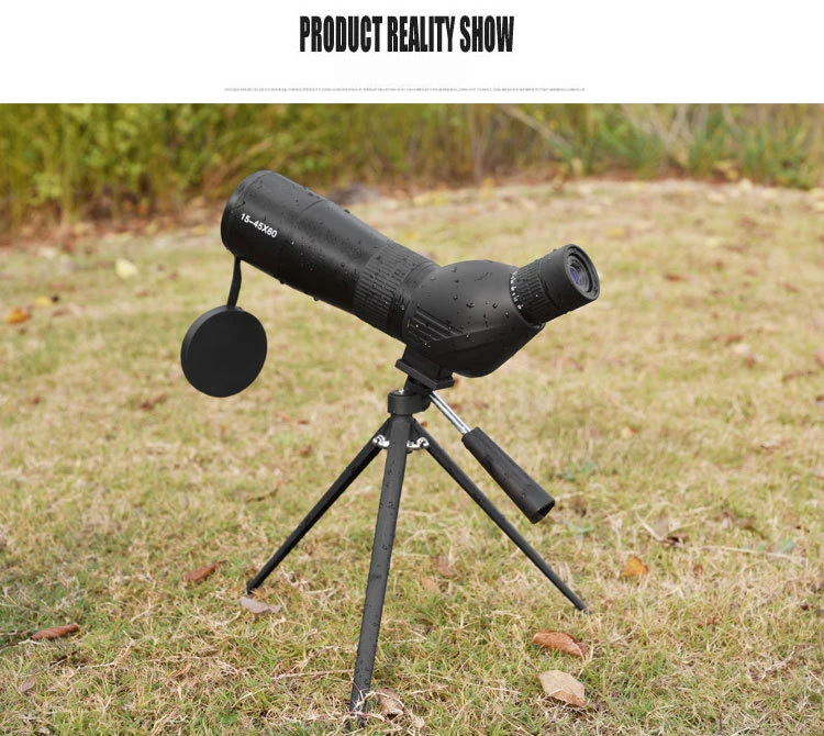 6624496571_2108484305