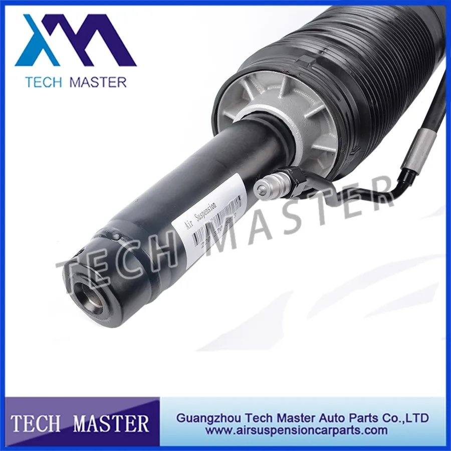 mercedes S Classhydraulic shock strut.jpg