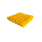 High quality durable plastic egg tray, hole 30 piece egg