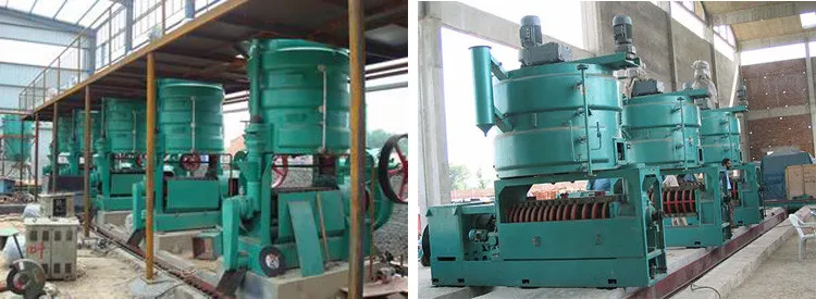 Big tea seed baobab oil press machine