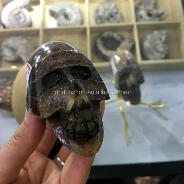 amazing hand engraving ammonites skulls nautilus fossil stone