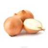 Wholesale Fresh Yellow Red White Onions