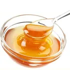 Small capacity honey processing machine production line