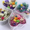 Mixed Dried Flowers Nail Art Decoration Preserved Flower With Heart Shape Box DIY Tips Manicure 3D Nail Art Decoration