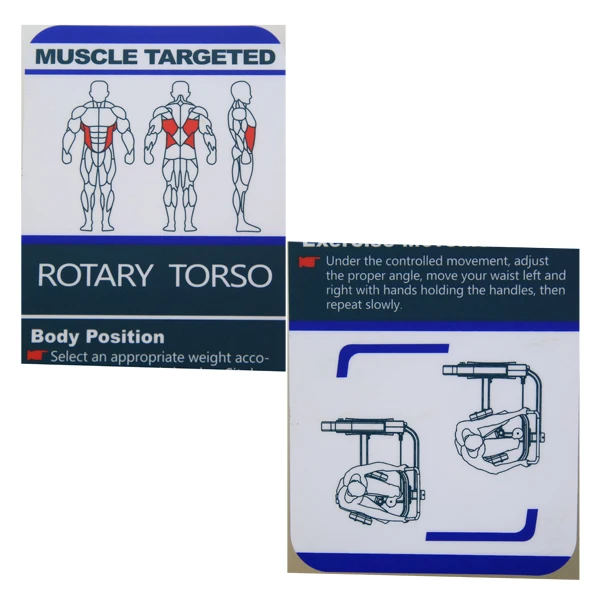 rotary torso gym equipment / fitness rotary torso appliance