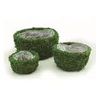 Plant Pots Set Of 3 Soft Green Preserved Moss Plant Pots For Wedding Deco