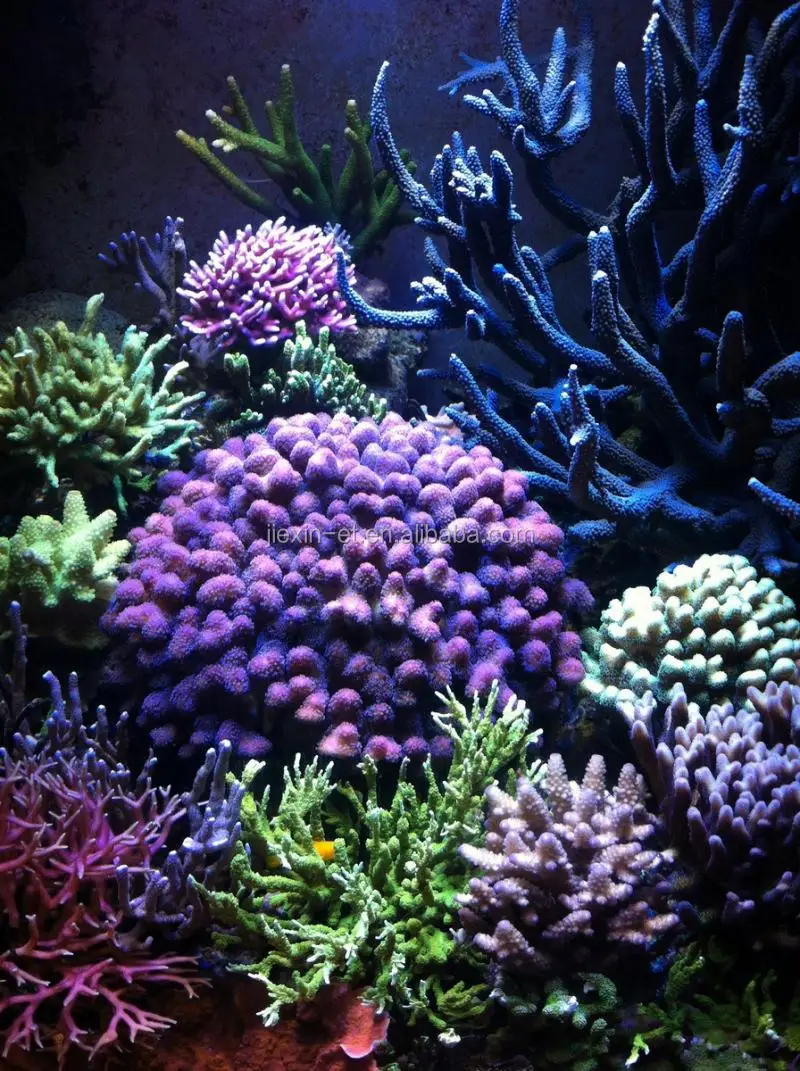 2016新しいwifi調光可能165ワットフルスペクトラムled水族館サンゴ礁のため仕入れ・メーカー・工場
