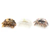 Classic Hair Accessories Cellulose Acetate Acrylic Tortoise shell Hair Comb Insert Comb For Women
