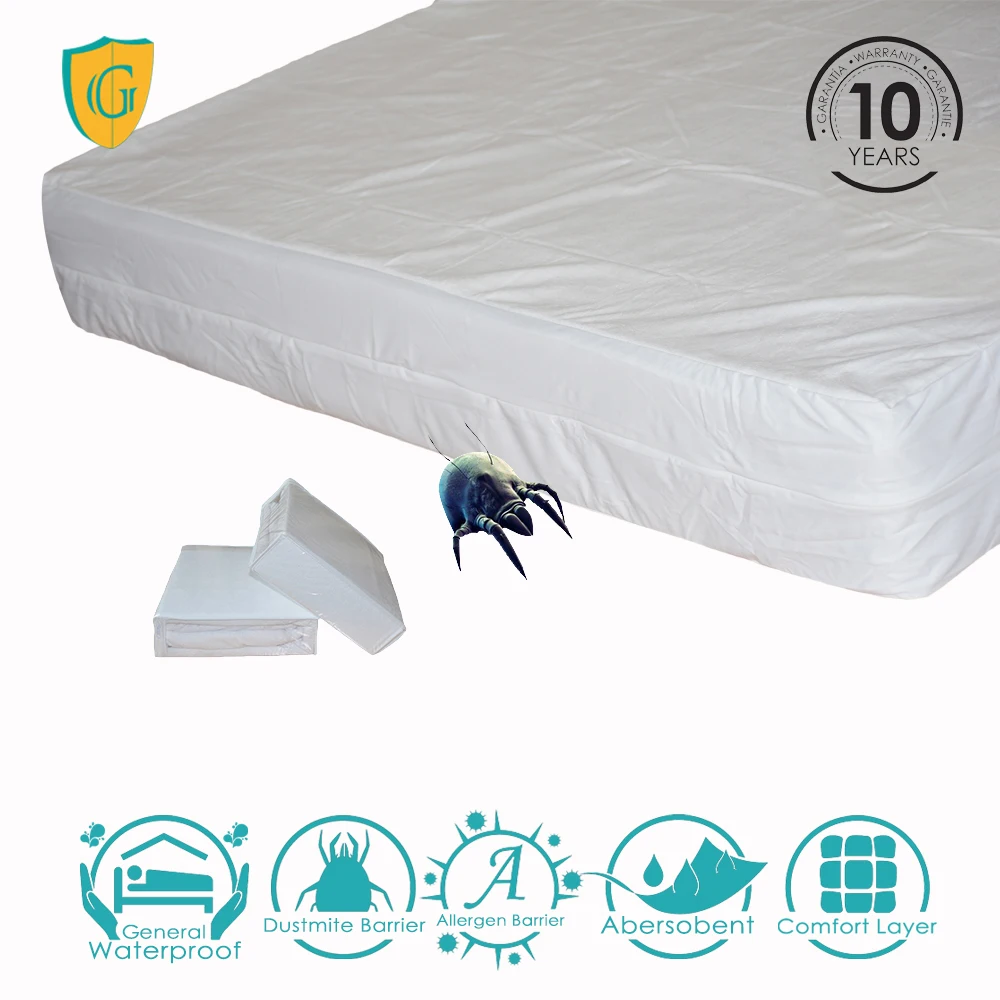 bed bug encasement