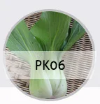 D_01.jpg