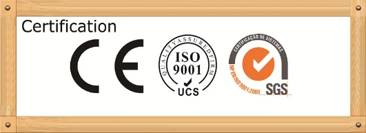 paste-pic-dp_uuid_5etn7