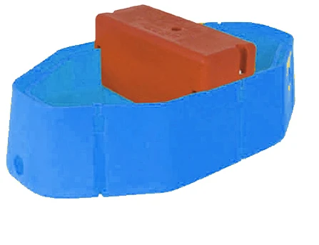 C.jpg