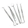 Dental Hygiene Kit, Dental Tools with Tarter Scraper/ Dental Mirror/ Tweezer/ Dental Toothpick/ Scaling Instrument