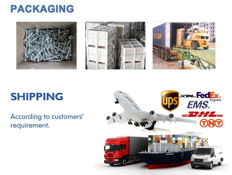 Packaging  Shipping