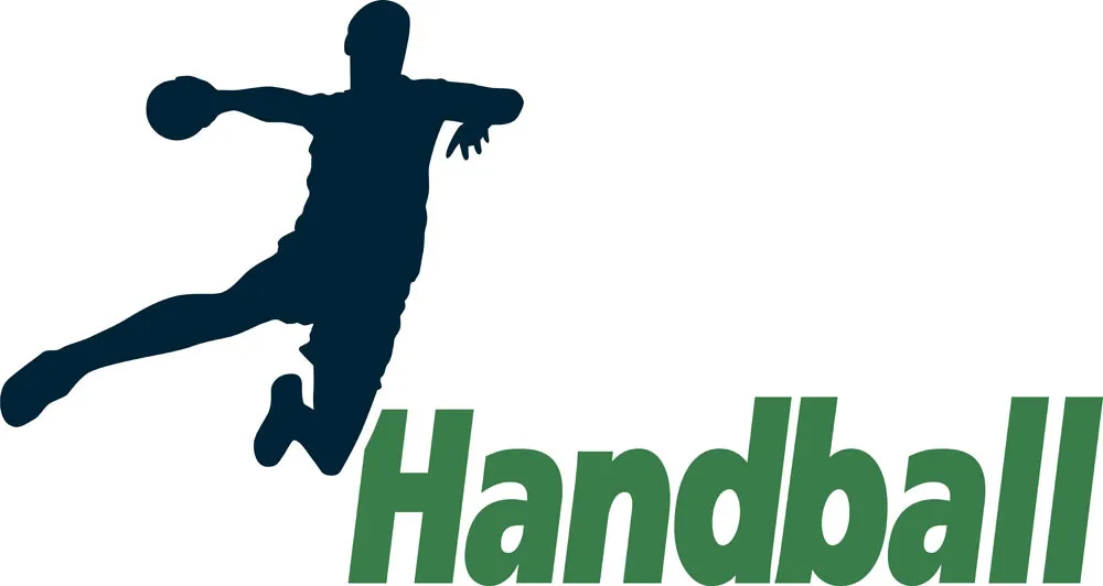 Used Handball Net