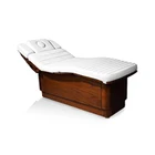 Luxury SPA Furniture Cosmetic Electric Massage Table Beauty Bed for Sale(08D04)