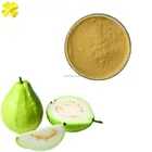 Guava Juice Guava Juice Fruit Powder