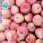 Fresh Red Fuji Apple for Russia Market