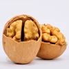 Walnut nuts and kernels