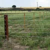 ISO9001 Practical Cattle/Sheep/Horse/Deer Fence Hot Sale in Australia/New Zealand