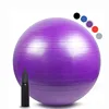Slip-resistant Balance & Core Strength Training Exercise Yoga Ball