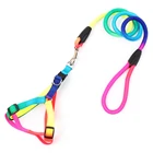 Colourful Rope Belt Pet Lead Dog Leash And Harness Set