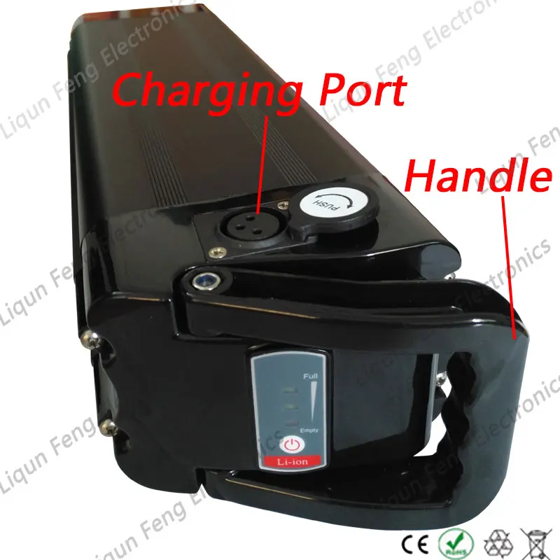 Silver-fish-black-16