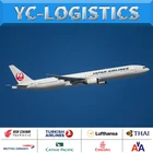 Air Freight Forwarder DDP Door To Door From Shenzhen /guangzhou/HK To USA