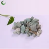 /product-detail/high-quality-china-supplier-natural-green-food-grade-zeolite-60759019840.html