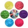 Free Sample Metallic Epoxy Pearl Pigment/ Metal Mica Powder For Coating Ink Plastics