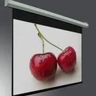 Electric Screen,400 Inch Projector Screen,Motorized Projection Screen for Large Event