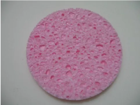 latex sponge3.jpg