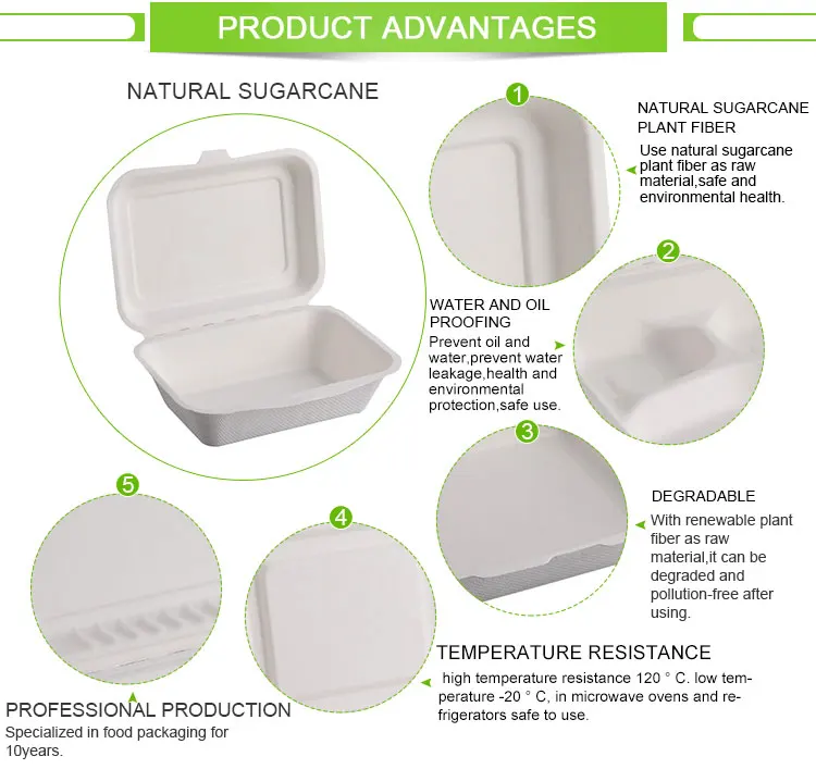 biodegradable lunch boxes