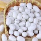 Factory wholesale natural dry double spring silk cocoon