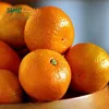 Juicy sweet delicious fresh baby fresh mandarin orange citrus