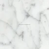 polished Carrara White marble