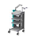 Customized Endoscopy cart with flexible scope hanger