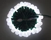 IP68 color changing globe outdoor drop Christmas pixel lights 50pcs/string 12V SMD5050