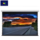 Large automatic electric/motorized projector/projection screen