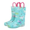 /product-detail/light-weight-cartoon-pvc-rain-boots-for-kids-with-handles-children-waterproof-shoes-62151974417.html