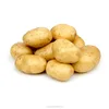/product-detail/shandong-holland-dutch-fresh-potato-importers-in-dubai-60839777579.html