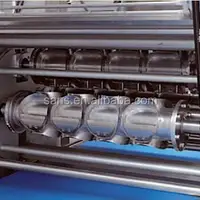 Swiss Quality Pizza Production Line Equipment