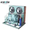 /product-detail/new-compressor-mini-12v-air-cooled-prices-small-2-hp-refrigeration-bitzer-cold-room-bitzer-refrigeration-condensing-unit-60769314426.html