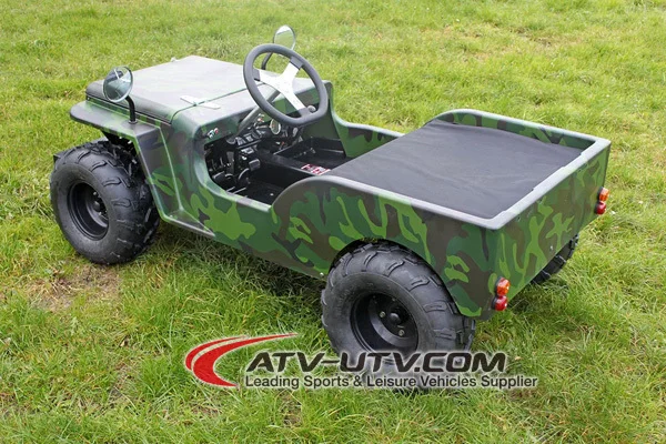 mini jeep left.jpg