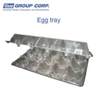 plastic tray PS PP APET PVC PET PETG PE HIPS egg/fruit/food/toy etc