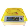 /product-detail/factory-supply-50-eggs-automatic-hatching-machine-full-automatic-mini-incubator-for-sale-ai-56-60624993996.html