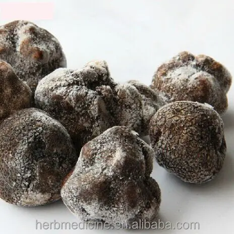 Frozen perigord winter truffles freeze black perigord truffle